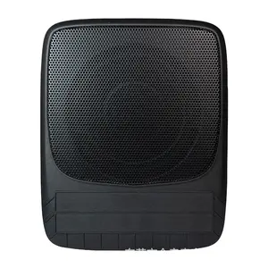 Intelligent DSP subwoofer all-in-one unit for lossless modification of car audio amplifiers, high-end in-car audio processor
