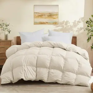 Queen Size Down Comforter - All Season Soft Goose Down & Feather Fiber Fill, Luxury Hotel Cream Duvet Insert with Corner Tabs (88" X 88")