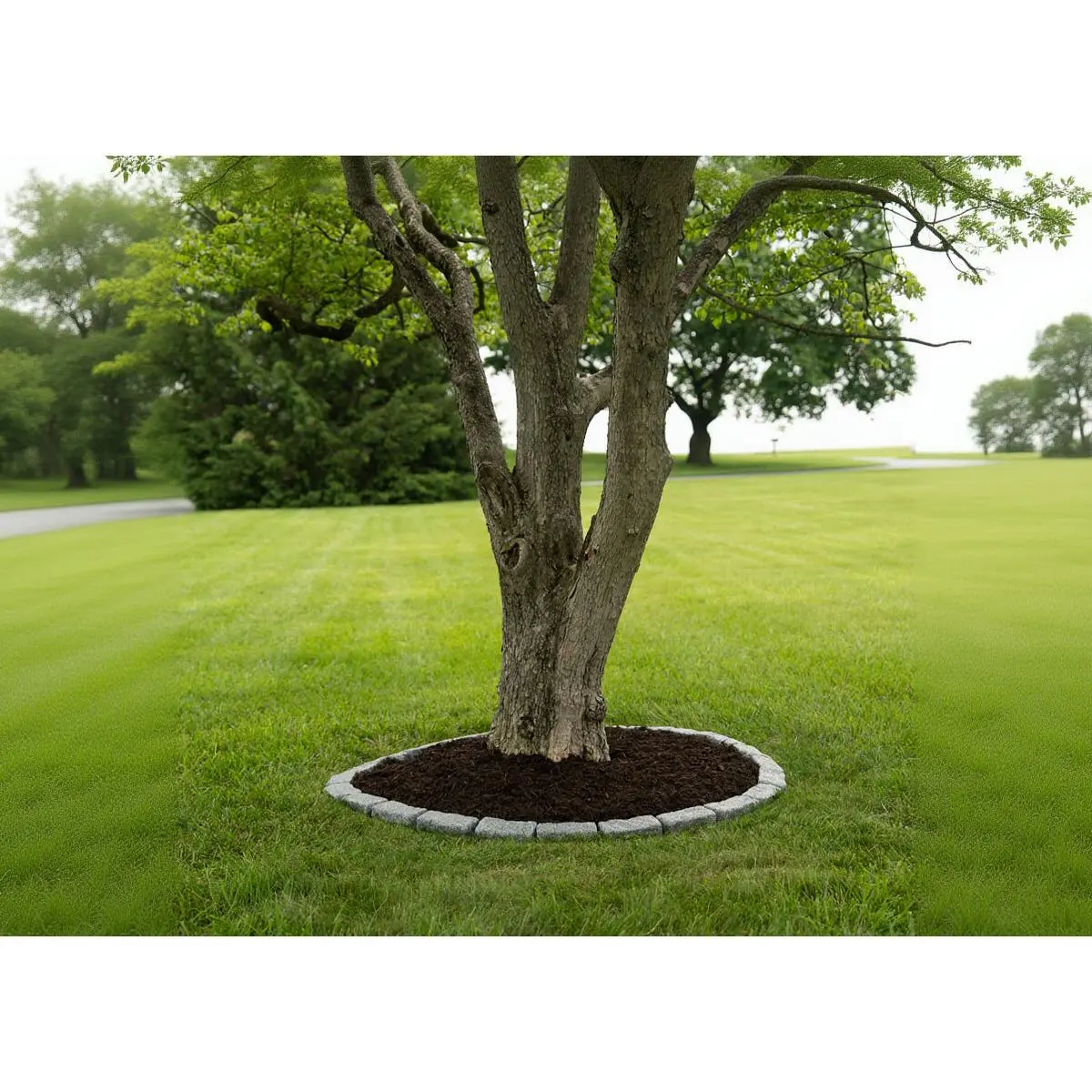 5 Ft Tree Ring Kit