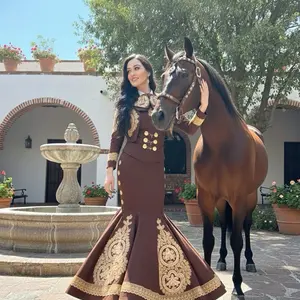 Cafe Charro Dress