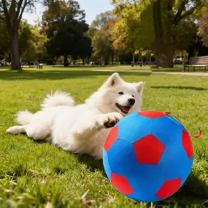 Pet Toy Ball for Horses Sheep Dogs, Outdoor Football Pattern Design, Includes Inflatable Pump, Model Xinghao Mc251031
