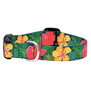 Sport Collar | Hibiscus