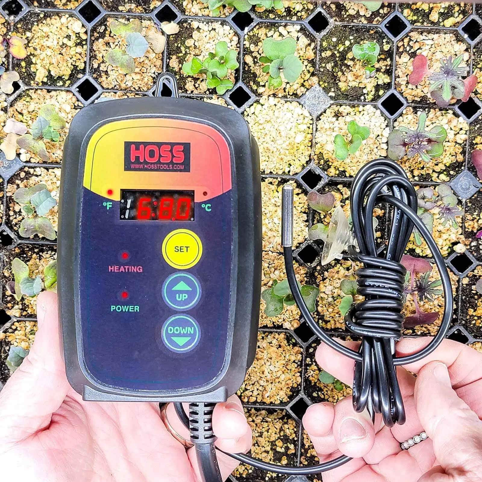 Germination Thermostat Germination Thermostat