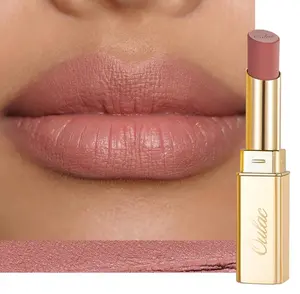 Oulac Pink Nude Matte Lipsticks for Women, Silky Velvet Matte Lipstick, Soft Smooth Texture, High Impact Lip Color, Not Dry Lightweight Formula Infused with Vitamin E, Vegan&Cruelty Free RM02