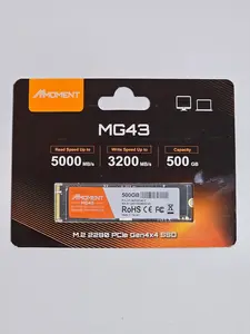 Moment MG43 500GB M.2 SSD