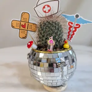 Hello Nurse Disco Cactus Live Plant in soil and Disco Ball Planter with decorations package