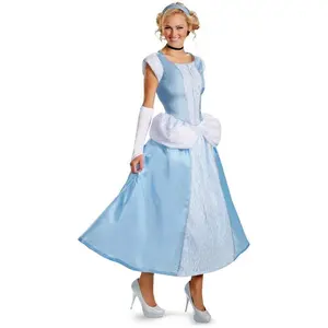 Cinderella Costume