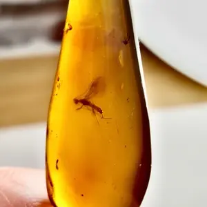 Cretaceous Amber with Bee & Mosquitoes Fossil Specimen from Myanmar Rare Prehistoric Collectible Over 100 Million Years Old Natural History Piece. Non-Returnable