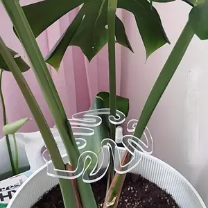 Foldable Plant Support Stands, Durable Folding Clips Upgrade, Space Saving Indoor Outdoor Garden Rack, Ideal for Tropical Plants