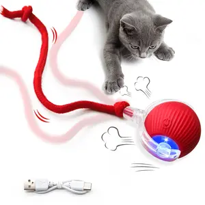 Cat&Dog Toy - Interactive USB Rechargeable Ball Toy on Rug with Bird Chirping, Anti-Depression Fun Gift for Cats & Dogs Kitten Animal