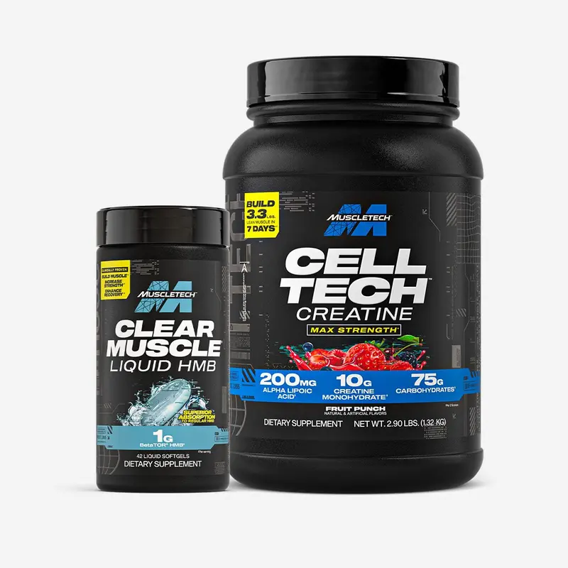 does bcaa have l carnitine