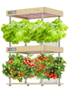 HydroEasy1.0 Hydroponics Growing System Kit, Medium Size Indoor Garden for Vegetable Fruit Herb, Each Slot has Dedicated Full-Spectrum LED Lights That Mimic Sunlight & Maximize Growth outdoorfun