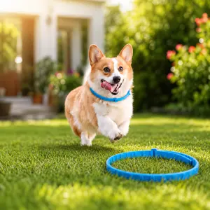Adjustable Dog Flea Protection Collar, Water-Resistant Outdoor Collar for Summer Use