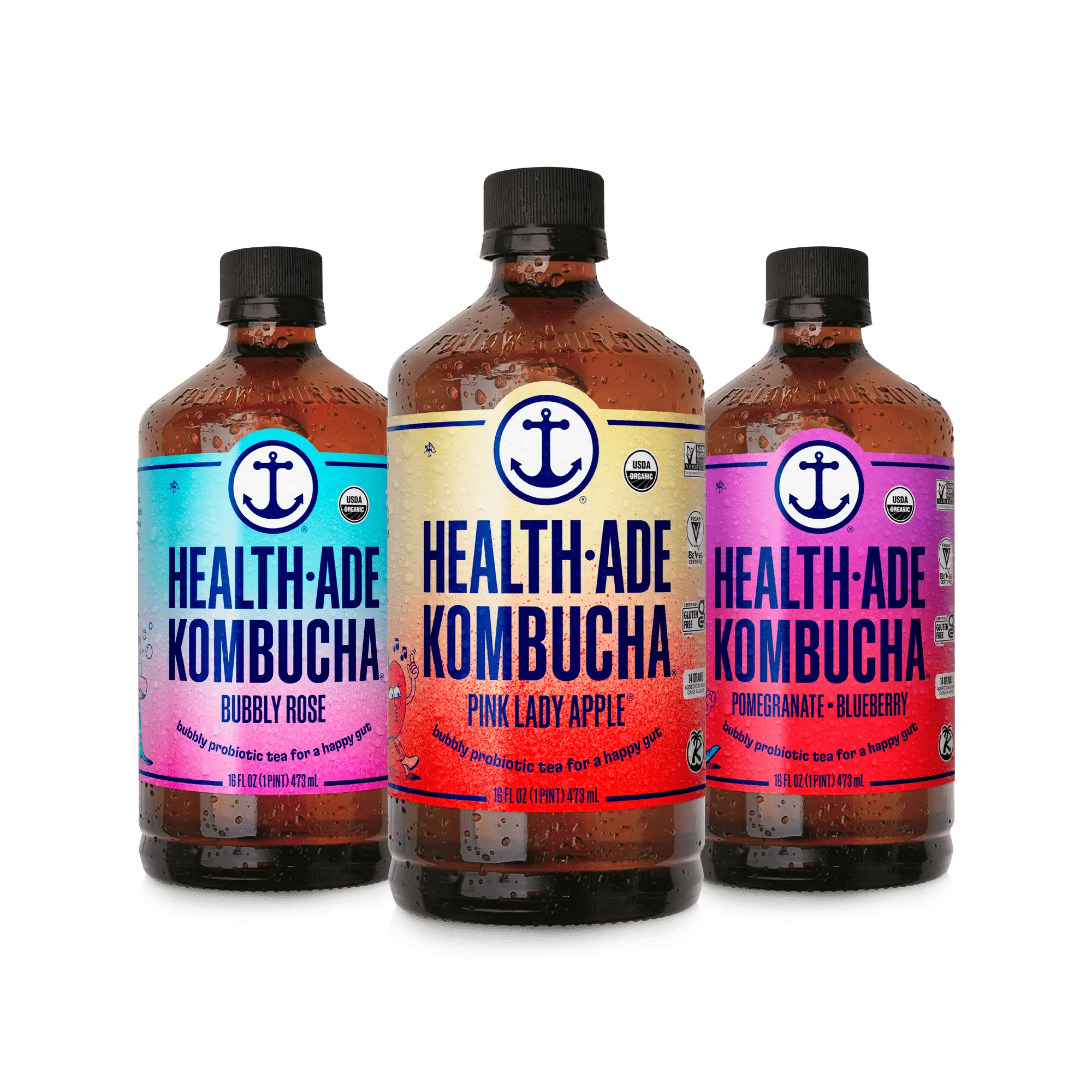 Signature Kombucha Variety Pack