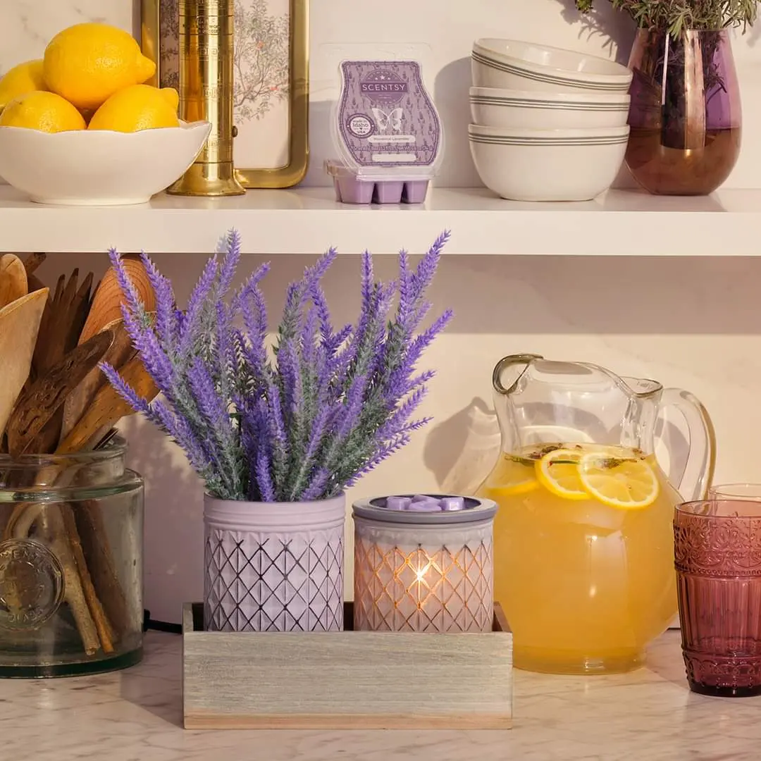 Scentsy products