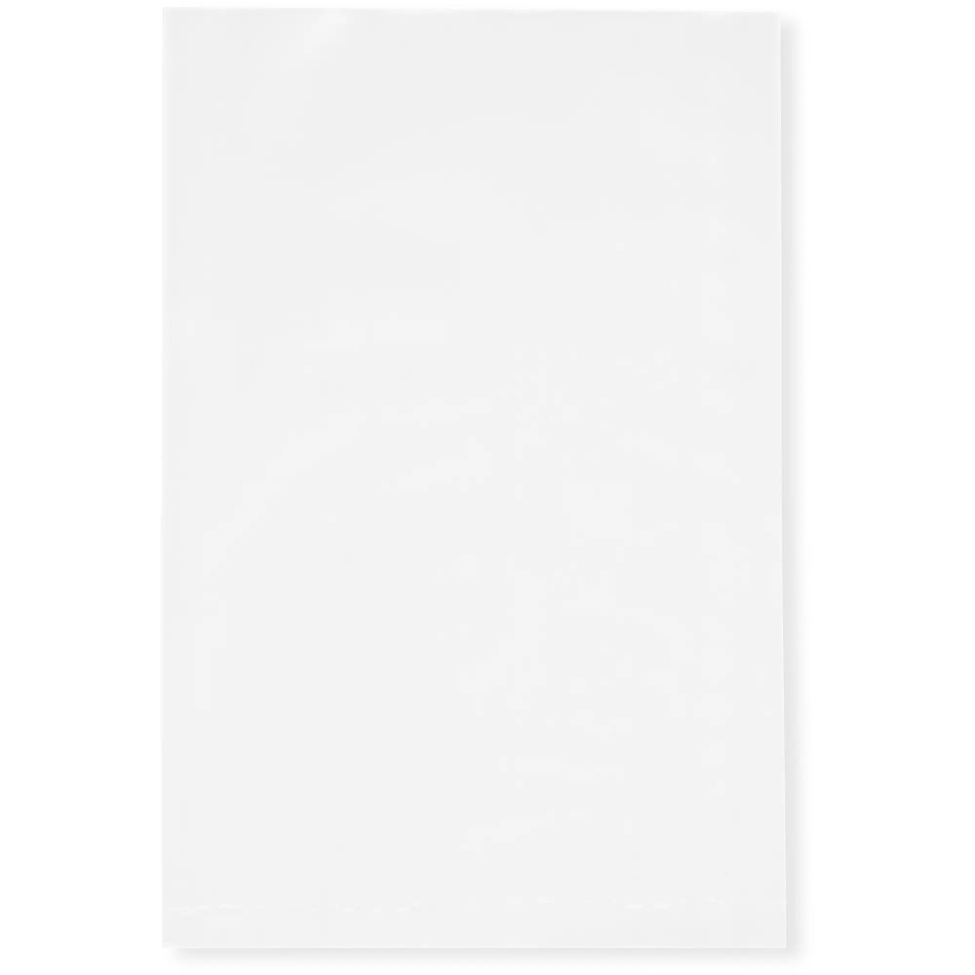 Plymor 4" x 6", White 2 Mil Flat Open Plastic Poly Bags