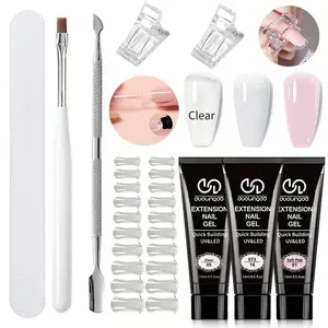 Poly Gel Nail Kit, 1 Set Nail Extension Gel Set, Nail Art Set with Nail Brush, Rub Strip, Nail Clip & 20pcs Nail Plate, Poly Gel Nail Kit Complete, Polygel Nail Kit