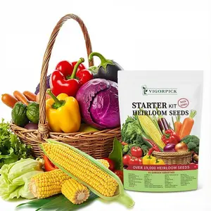 [Popular Choice] Heirloom Seed Vault Set - 35 Assortment Pack for Indoor Growing and Sowing Emergency Plants Heritage Veggie Blend Ideal Garden Present for Every Family Garden