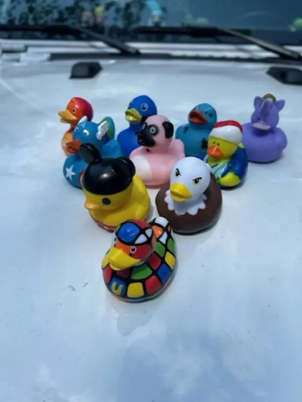 100 assorted rubber ducks 100 assorted rubber ducks