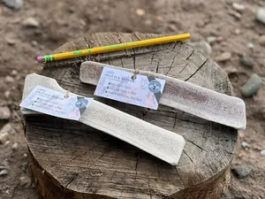 Large Split Elk Antlers for Dogs 40-70 Pounds - Long Lasting Bone for Sensitive Teeth & Older Pups - Natural Treat