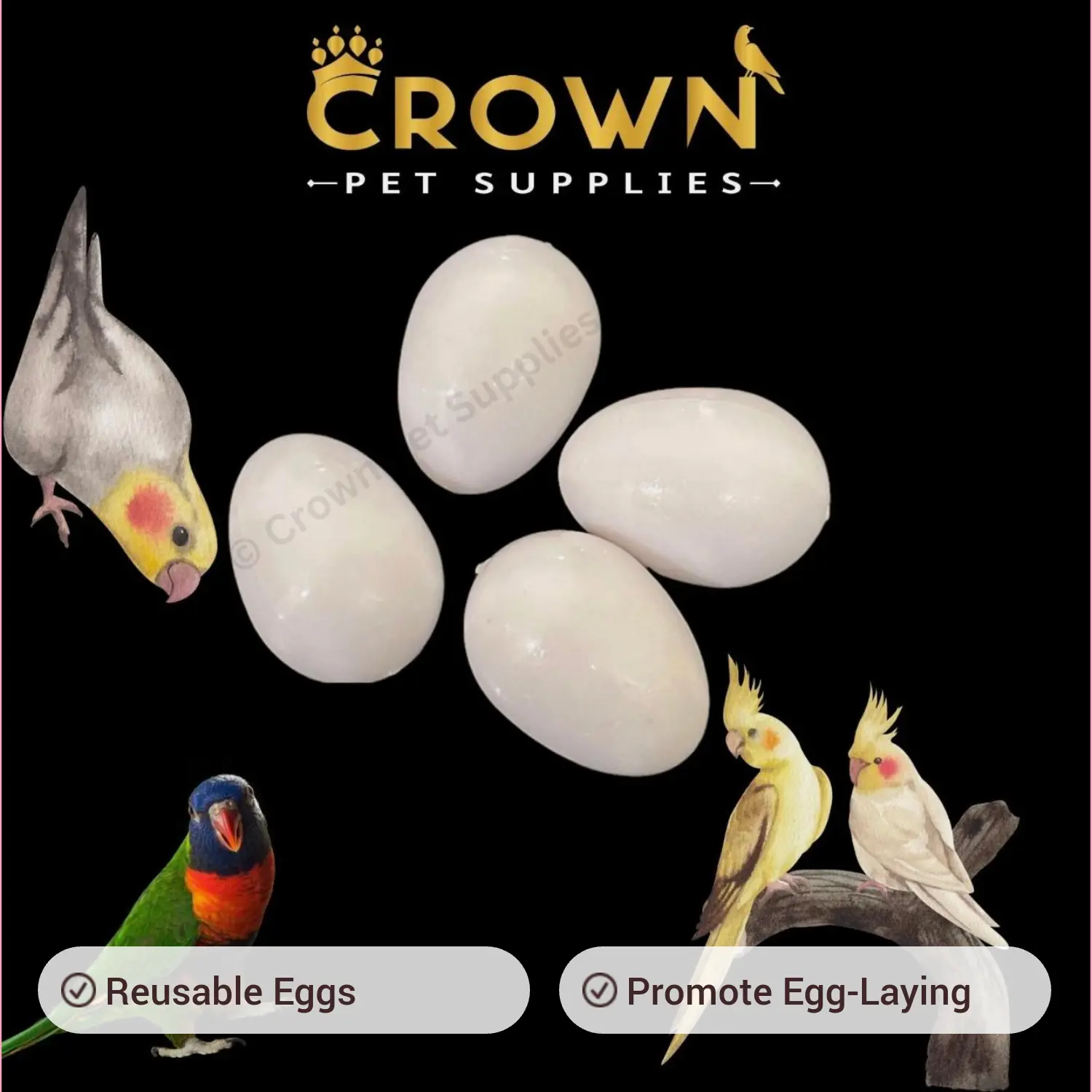 COCKATIELS FAKE EGGS Solid Plastic FOR RINGNECK, Dummy DOVE STOP LAYING Ct 4