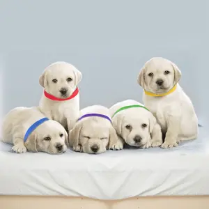 Puppy ID Collars - 12 Color Adjustable Identification Bands for Whelping