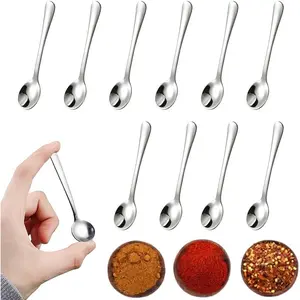 10 PCS 3 Inches Stainless Steel Mini Condiment Spoons Cute Silver Tiny Spoon for Powder Spices Jars Salt Sugar Pepper Desserts Honey