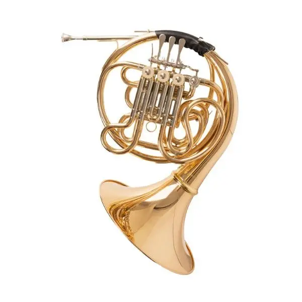 Stagg 22093 F-Bb Double Gold Brass Horn, 4 Rotary Valves, 30.5 cm Bell, 2.74 kg Weight, Child-Friendly Thumb Holder, 3-Dimensionally Adjustable, Suitable for Beginners
