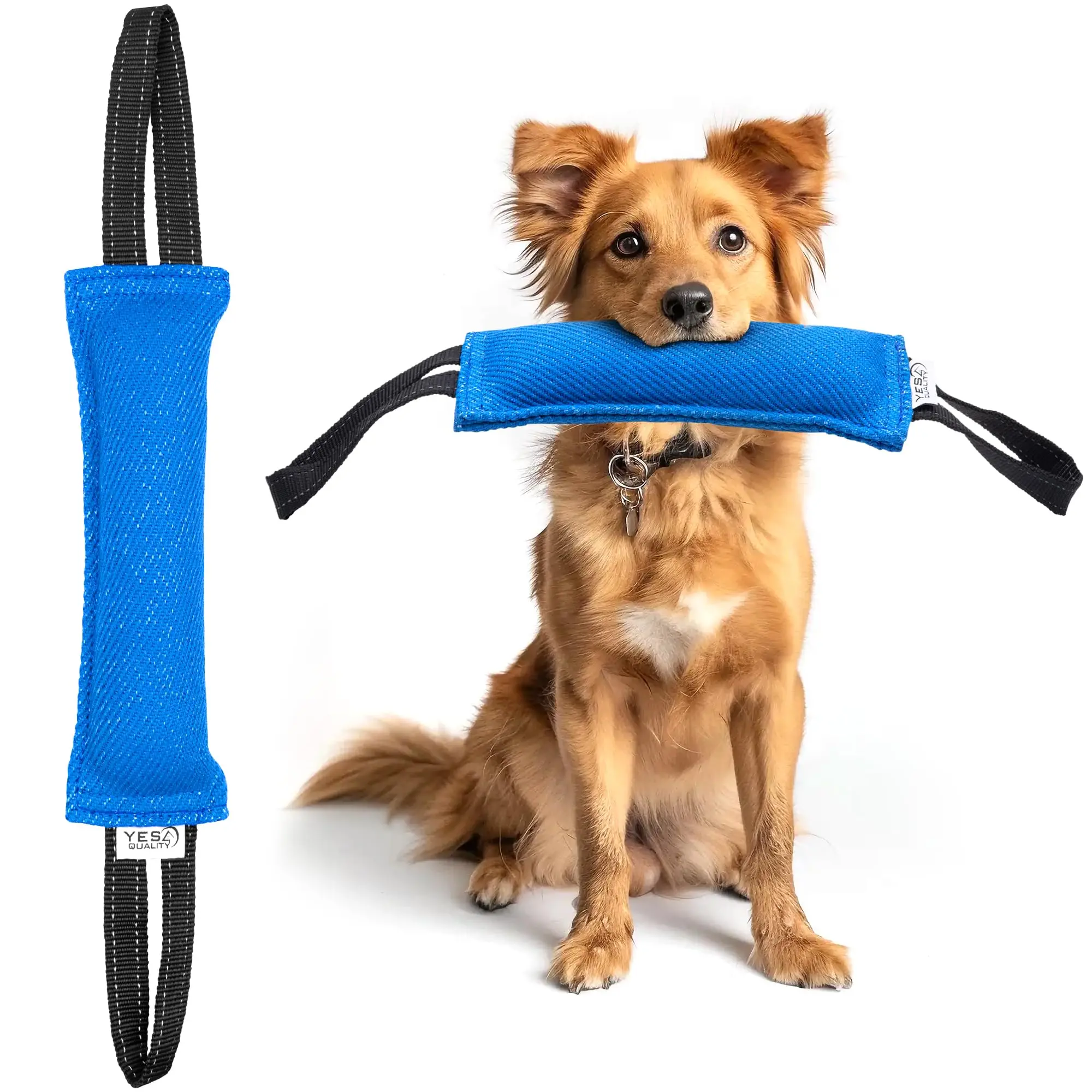YES4QUALITY Durable Blue Dog Bite Tug Toy (11.8"x3.5"), Tough Nylon Bite Pillow with 2 Soft Handholds, Interactive Tough Chewer Toy for Small-Medium Dogs, Ideal for Tug of War, Canine Training