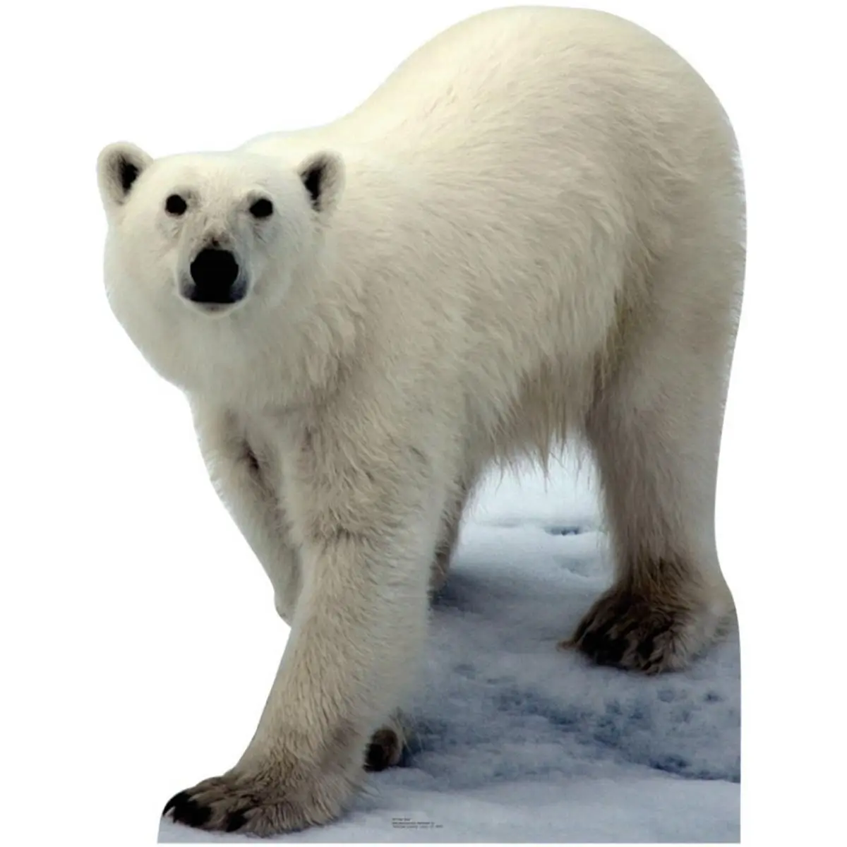 Life-Size Solid Corrugated Cardboard Polar Bear Stand-Up, 48in H x 38in W Decorative Home Decor, Wall-Mountable Door Accent Piece, Great for All Ages