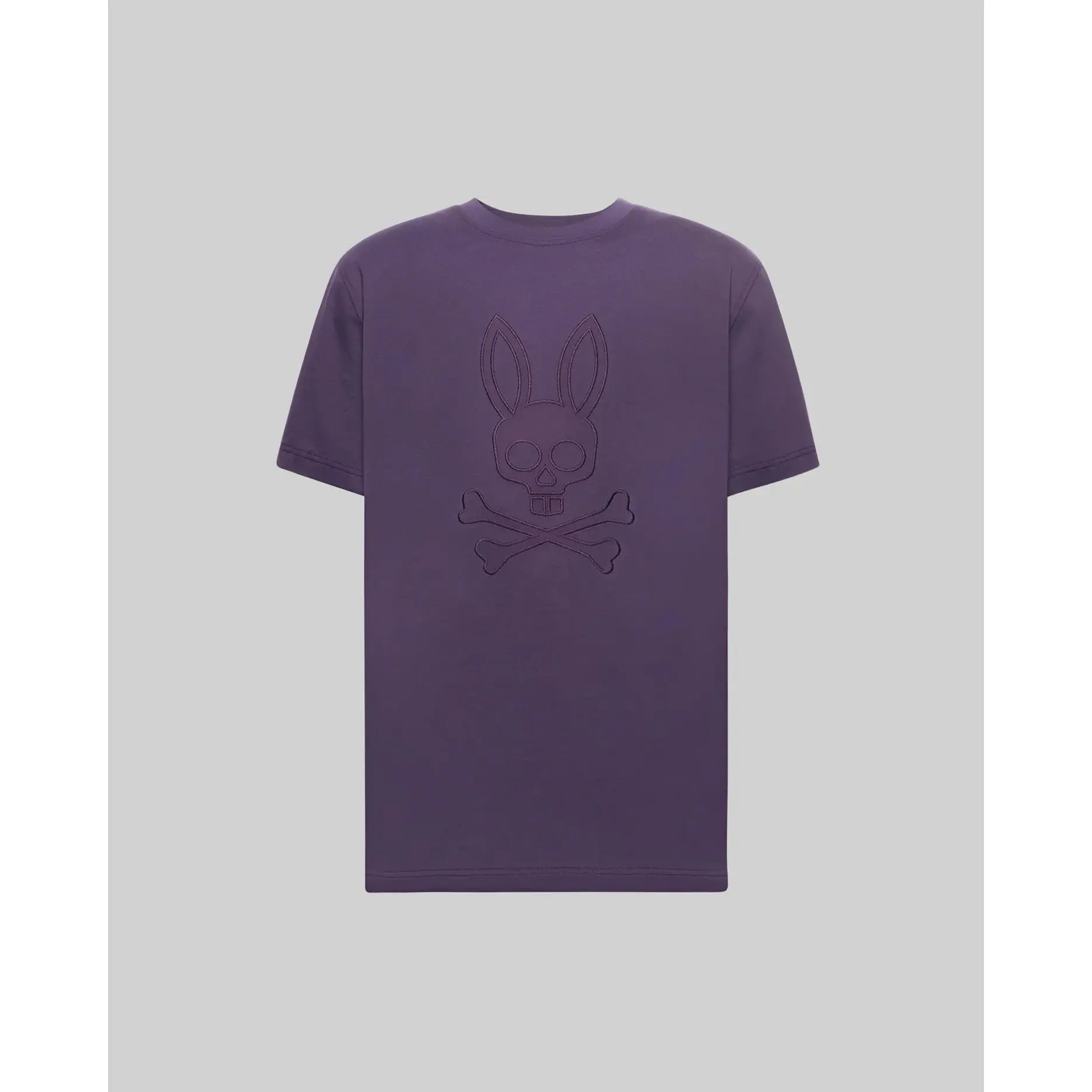 MENS ASHTON GRAPHIC TEE - MT0200271