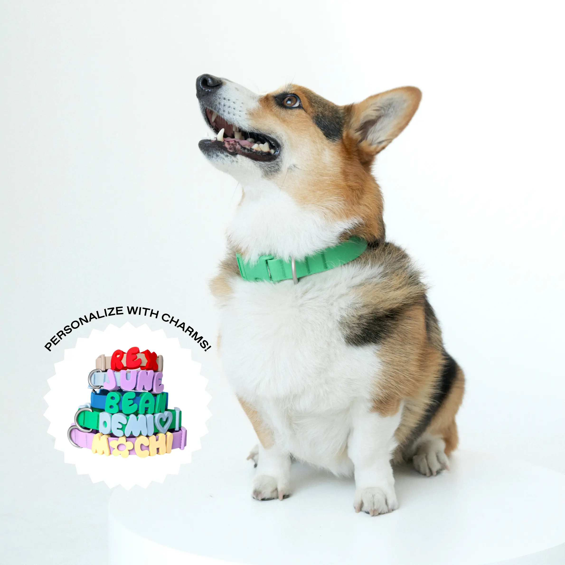 Waterproof Dog Collar