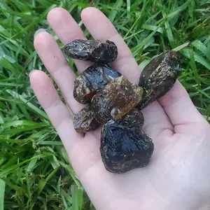 Natural Amber Rough 1pc