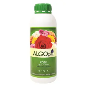 212 MAIN AlgoPlus 536 Concentrated Rose Liquid Fertilizer, 1L Concentrated Mix, Blackspot Resistant, Bloom-Stimulating Garden Soil Supplement