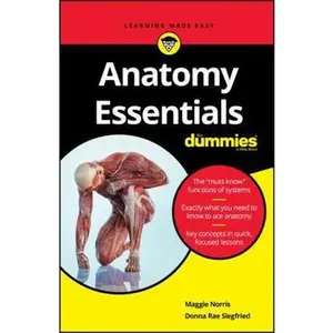 USED-Anatomy Essentials for Dummies by Norris, Maggie A. (Paperback)