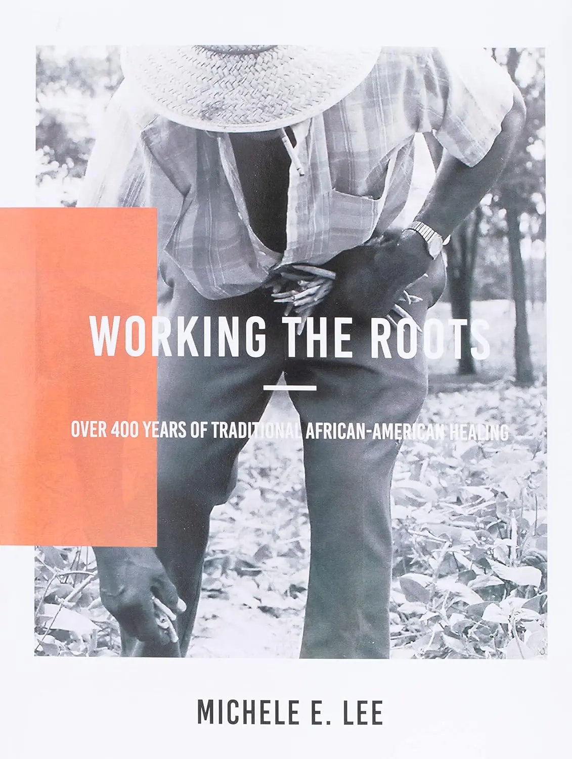 Working The Roots: Traditional African American Healing Knowledge Paperback - 400+ Years of History, December 15, 2017