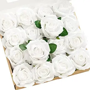 Pure White Roses Box - 16pcs