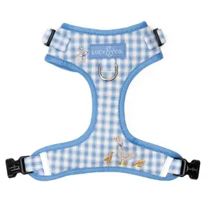 Silly Goose No-Pull Harness