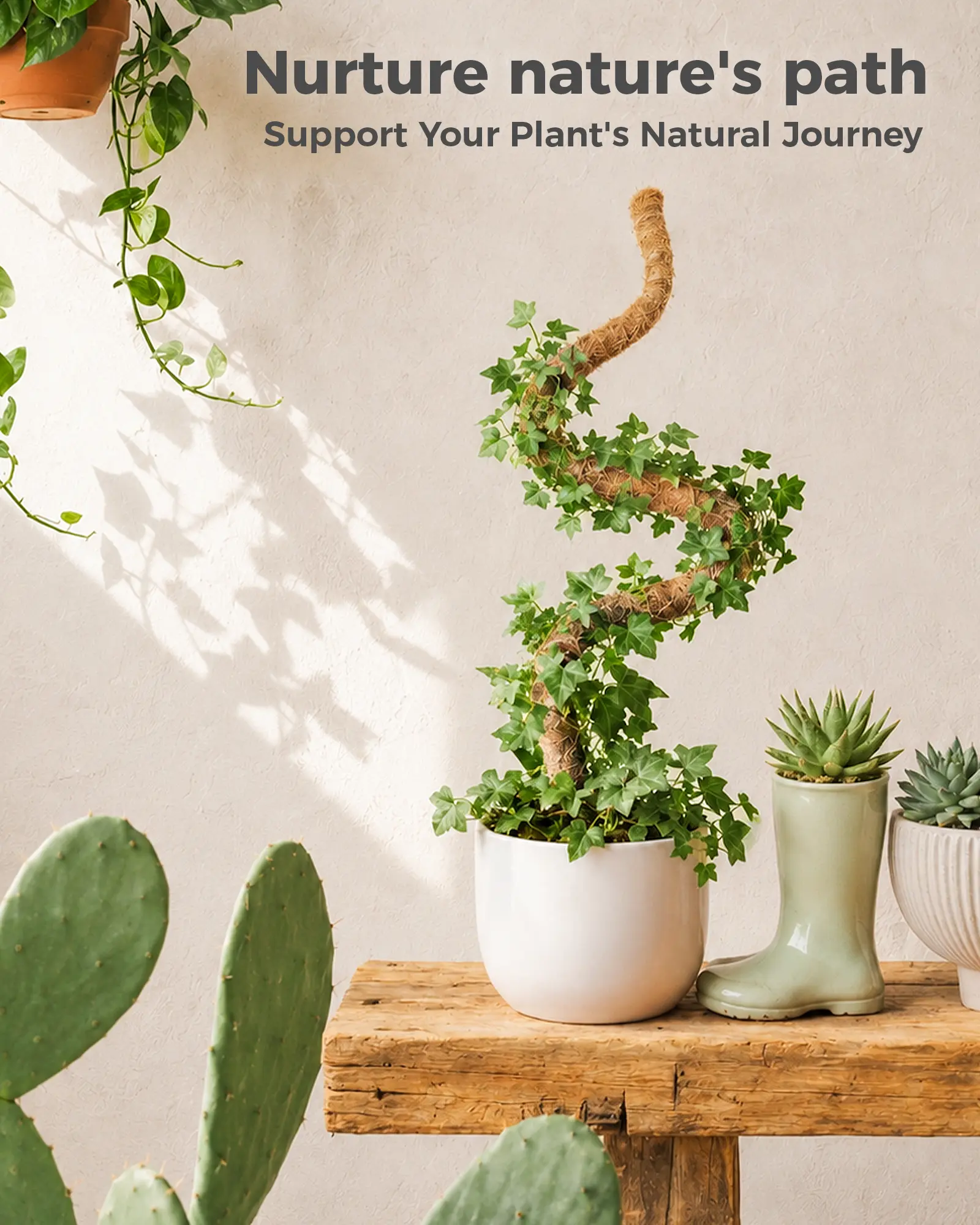 2-Pack Flexible Plant Support Stakes (28 in, Easy to Shape) – Moss Poles, Climb Aid for Indoor Monstera, Potted Climbing Houseplants Vertical Growth, Plant Care Tool