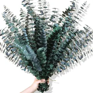 EucalyptusBundle 30Pcs Dried Eucalyptus Stems 17 Real Preserved Natural Branches for Vase Home Decor Wedding Baby Shower Bathroom Fresh Greenery holiday decor gift