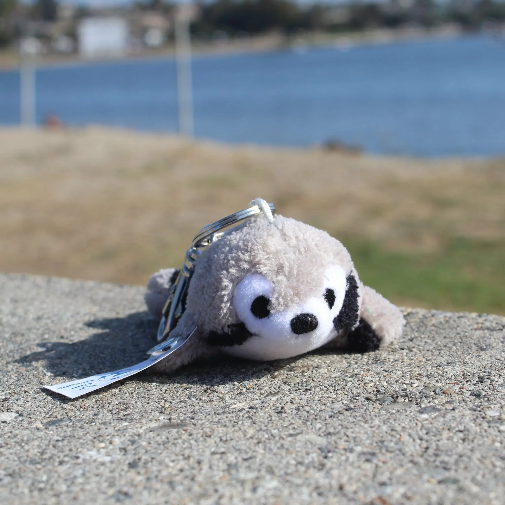 Shore Buddies Sammy the Seal Keychain