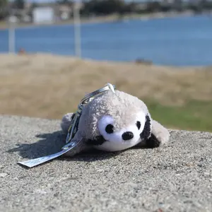 Shore Buddies Sammy the Seal Keychain