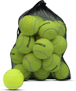 Tennis Balls, 18 Pack  Tennis Balls Practice Balls with Mesh Bag for Easy Transport, Pet  Playing Balls, fit for Beginner  Ball