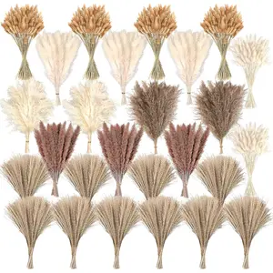 610 count Dried Pampas Grass Decor, Dried Flower Bouquets for Wedding, Home, Centerpiece Table, Modern Home, Western Living Room, Nurserie, , Boho Room, Beach, Women Office, and Boho Decor