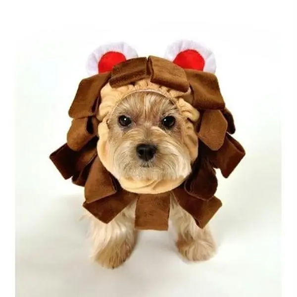 Anit Accessories AP1077-M Medium Animal Print Lion Dog Costume, Red Ear Accent, for Costume Parties
