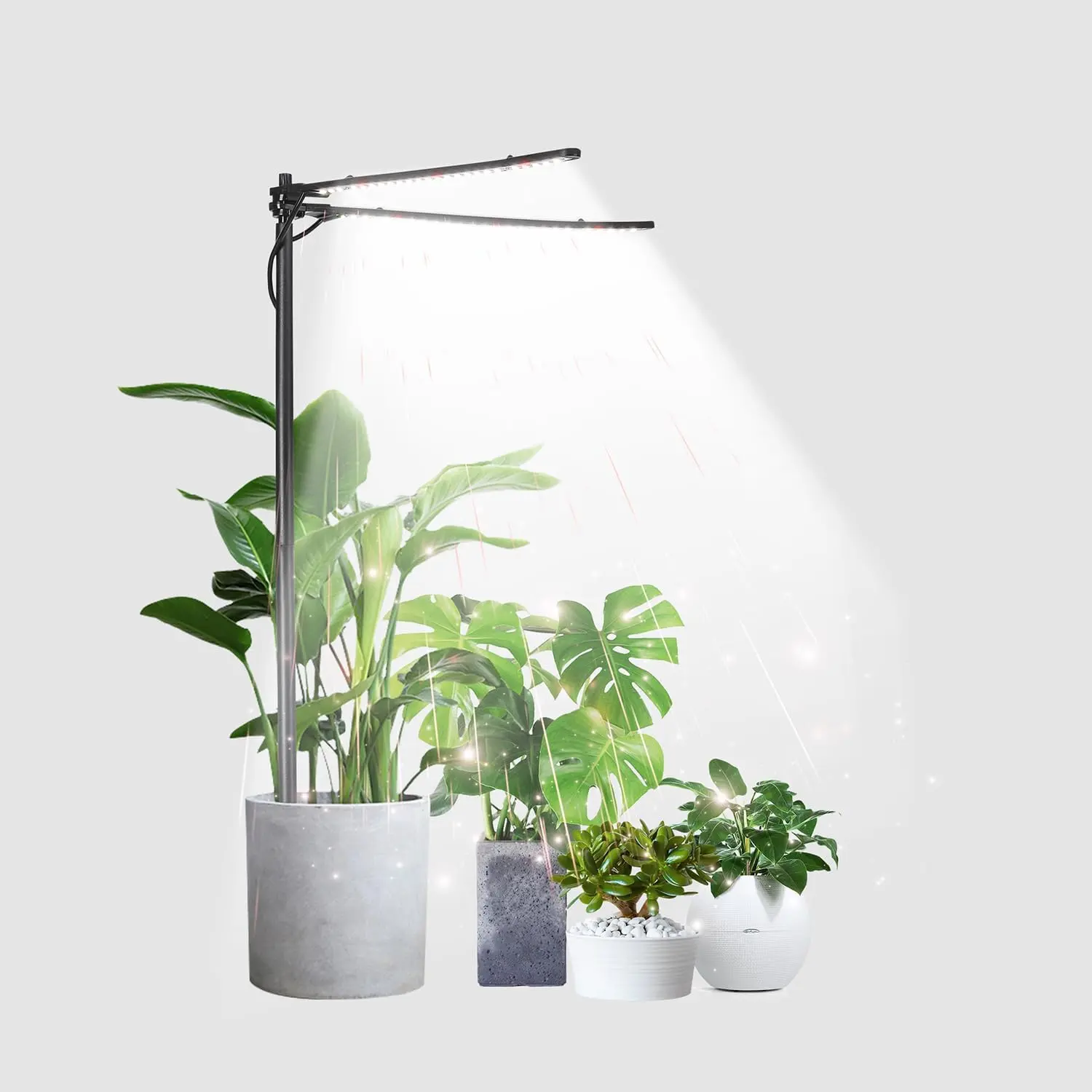 Grow Light,  Lamp for Indoor  Growing, 6000K White Red Light for  Mini Small  Growth (Without Timer/Dimming)