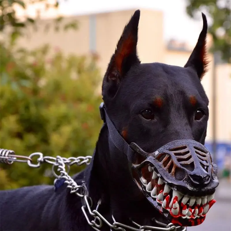 Scary Dog Muzzle Halloween Accessory - Lightweight Latex Animal Costume Mask with Lifelike Teeth, Adjustable Breathable Face Cover for Funny Videos