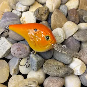 Mayhem Fishing DT10 Style Rattling Custom Paint Crankbait (Sunburst Shad)
