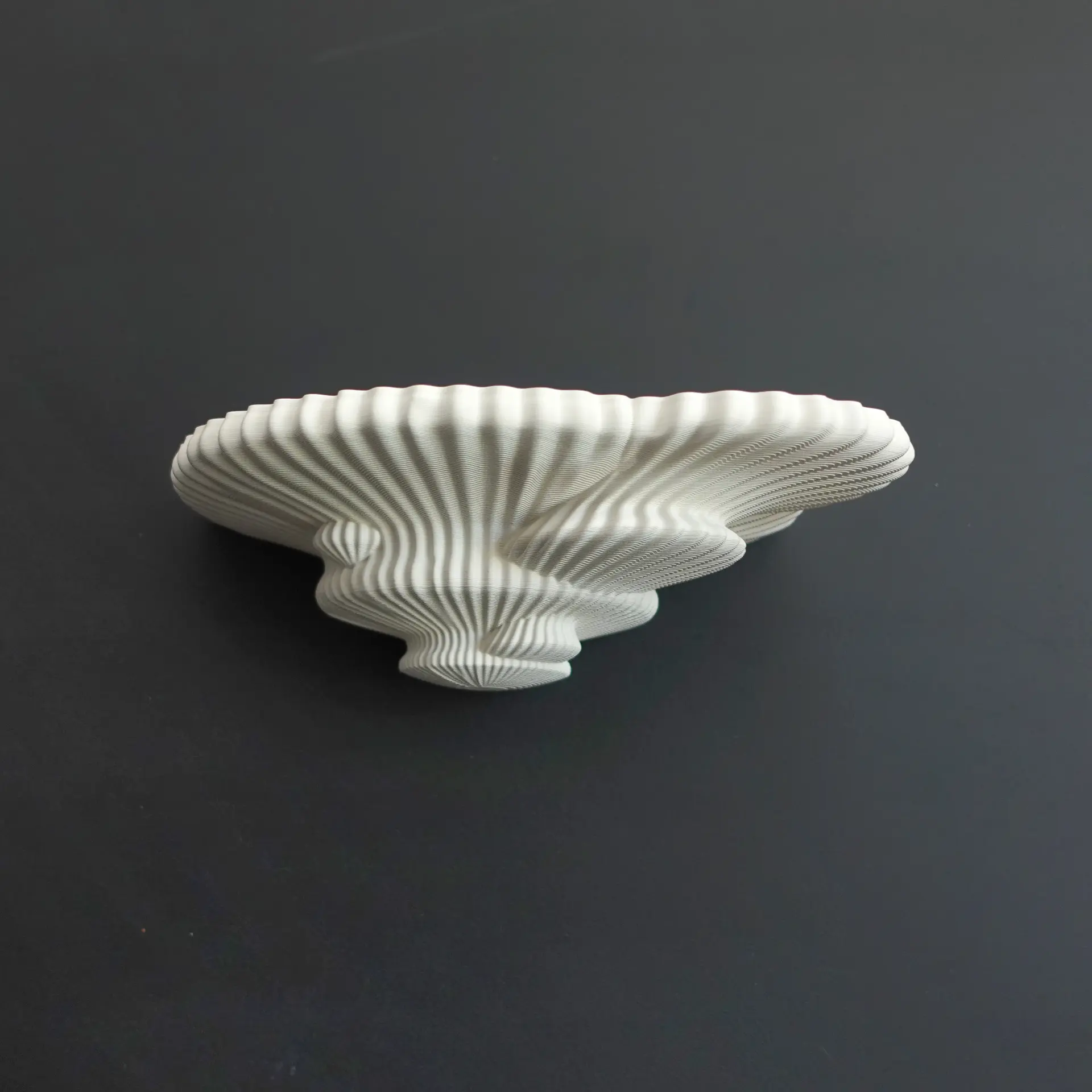 Tinder Fungus mushroom wall Shelf designed by Gazzaladra with Cottagecore/Fairycore aesthetic Decor Shelves