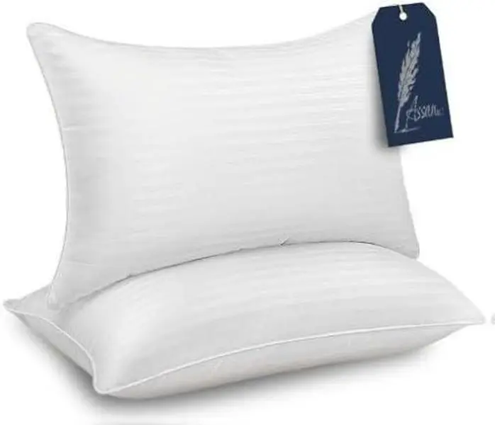 ASSAN LLC  Satin Strip Pillow Queen Size Set of 2 - Down Alternative Bedding Gel Cooling Big Pillow for Back Stomach or Side Sleepers Premium Cotton Fabric & Microfiber Filling